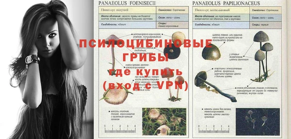 COCAINE Киреевск
