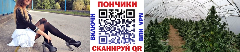Купить закладки  Павловский Посад  Каннабис THC 21% 